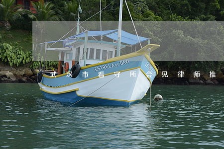 武汉市看守所会见律师推荐 武汉市看守所会见律师推荐