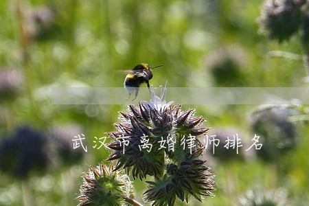 武汉市离婚律师排名 武汉市离婚律师排名