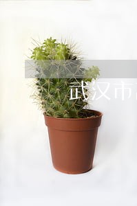 武汉市离婚法律顾问律师 武汉市离婚法律顾问律师