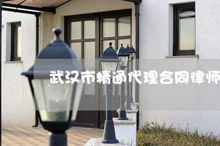 武汉市精通代理合同律师 武汉市精通代理合同律师