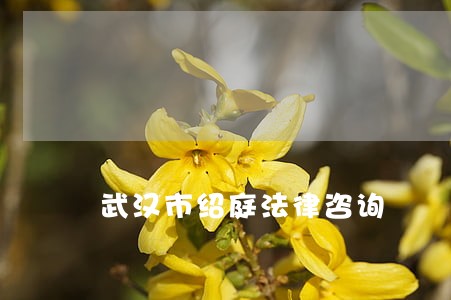 武汉市绍庭法律咨询 武汉市绍庭法律咨询