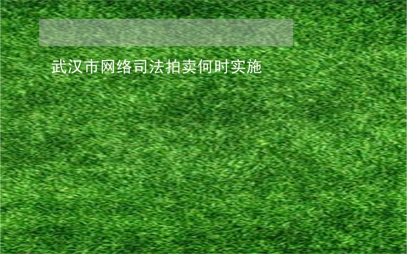 武汉市网络司法拍卖何时实施 武汉市网络司法拍卖何时实施