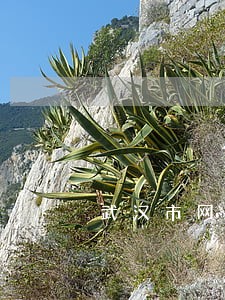 武汉市网贷信用卡逾期怎么办 武汉市网贷信用卡逾期怎么办