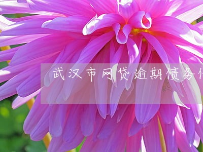 武汉市网贷逾期债务优化怎么收费 武汉市网贷逾期债务优化怎么收费