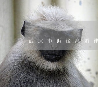 武汉市诉讼离婚律师费用标准 武汉市诉讼离婚律师费用标准
