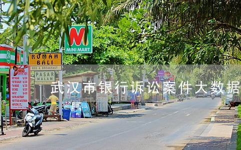 武汉市银行诉讼案件大数据分析