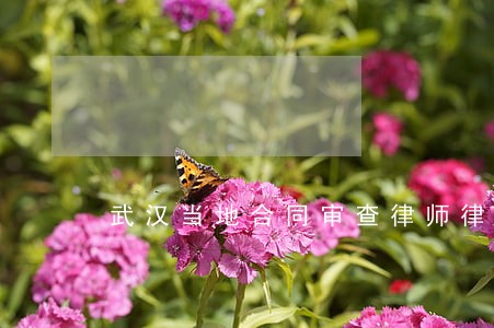 武汉当地合同审查律师律所 武汉当地合同审查律师律所