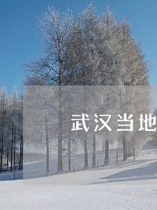 武汉当地定金合同律师团 武汉当地定金合同律师团