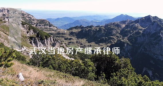 武汉当地房产继承律师 武汉当地房产继承律师
