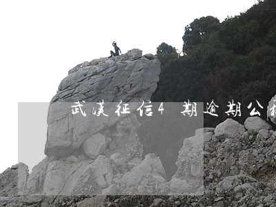 武汉征信4期逾期公积金