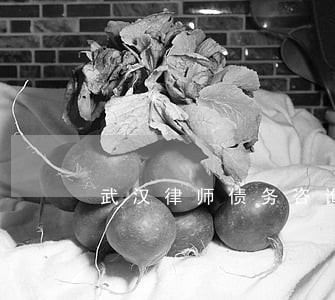 武汉律师债务咨询 武汉律师债务咨询