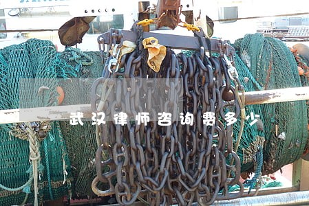 武汉律师咨询费多少 武汉律师咨询费多少
