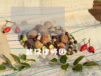 武汉律师团 武汉律师团