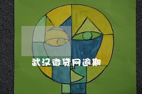 武汉微贷网逾期 武汉微贷网逾期