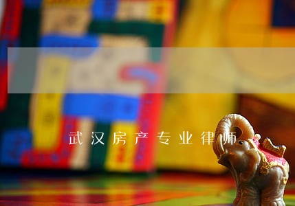 武汉房产专业律师 武汉房产专业律师