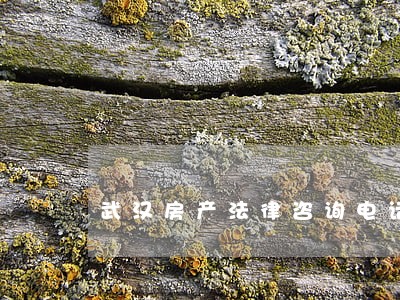 武汉房产法律咨询电话 武汉房产法律咨询电话