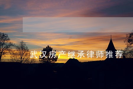 武汉房产继承律师推荐 武汉房产继承律师推荐