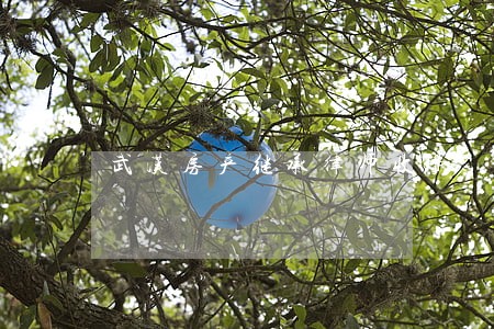 武汉房产继承律师收费 武汉房产继承律师收费