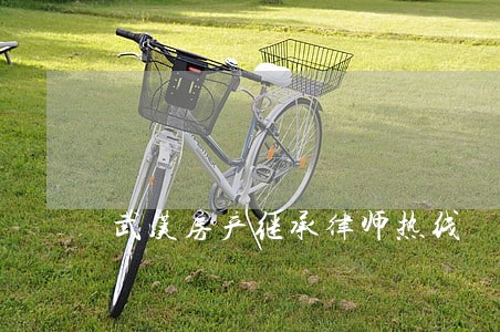 武汉房产继承律师热线 武汉房产继承律师热线