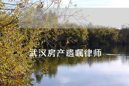 武汉房产遗嘱律师 武汉房产遗嘱律师