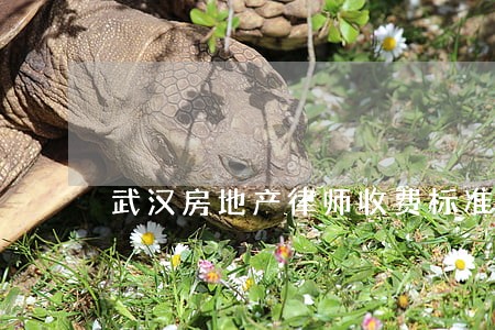 武汉房地产律师收费标准 武汉房地产律师收费标准