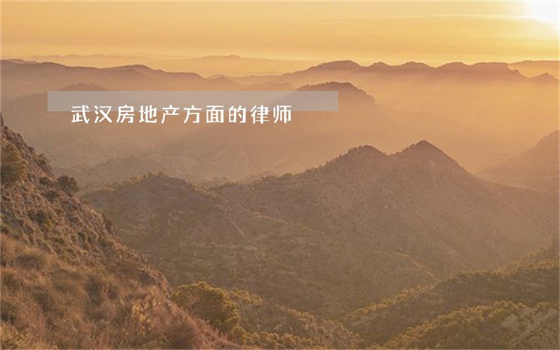武汉房地产方面的律师 武汉房地产方面的律师