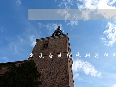 武汉房屋继承纠纷律师委托费用 武汉房屋继承纠纷律师委托费用