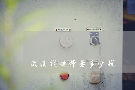 武汉找律师要多少钱 武汉找律师要多少钱