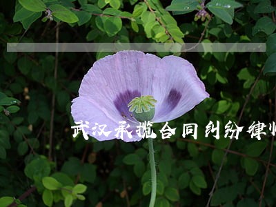 武汉承揽合同纠纷律师多少钱 武汉承揽合同纠纷律师多少钱