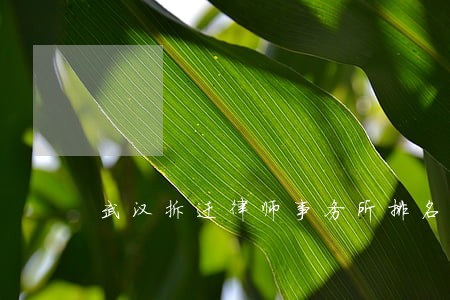 武汉拆迁律师事务所排名