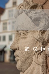 武汉拒绝隔离司法厅长 武汉拒绝隔离司法厅长