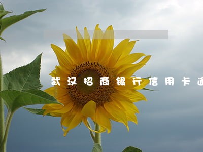 武汉招商银行信用卡逾期上门了 武汉招商银行信用卡逾期上门了
