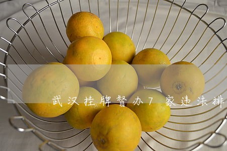武汉挂牌督办7家违法排污企业 武汉挂牌督办7家违法排污企业