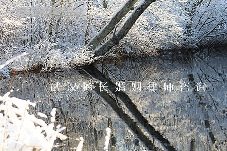武汉擅长婚姻律师咨询 武汉擅长婚姻律师咨询