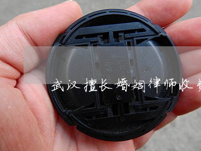 武汉擅长婚姻律师收费 武汉擅长婚姻律师收费
