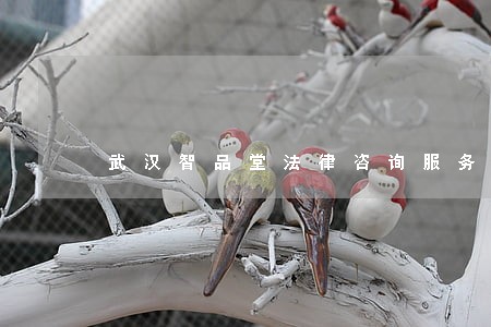武汉智品堂法律咨询服务