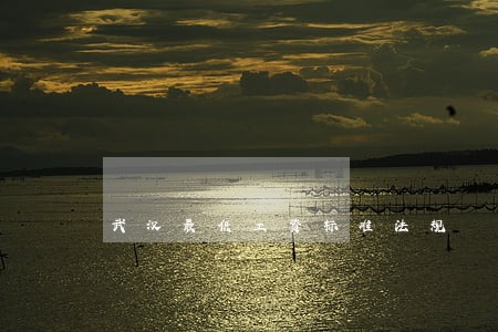 武汉最低工资标准法规 武汉最低工资标准法规