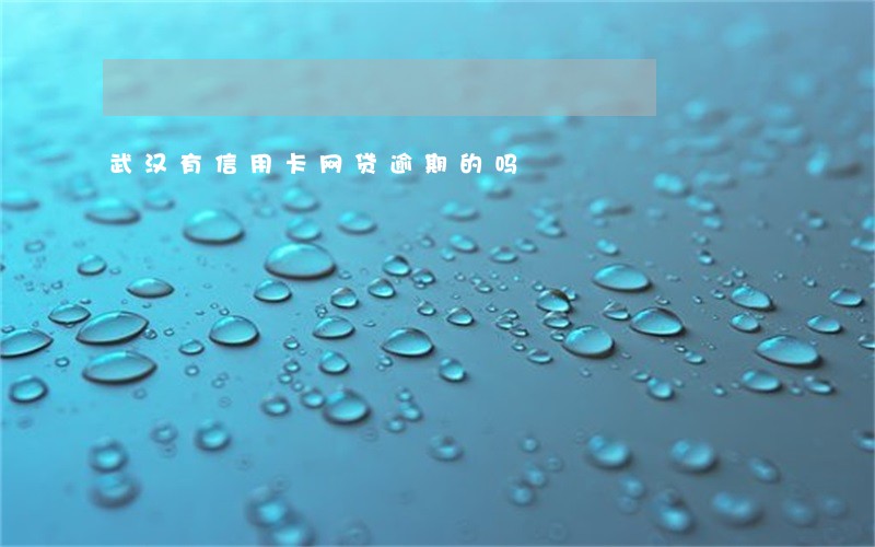 武汉有信用卡网贷逾期的吗 武汉有信用卡网贷逾期的吗