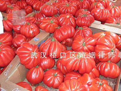 武汉桥口区婚姻律师事务所 武汉桥口区婚姻律师事务所