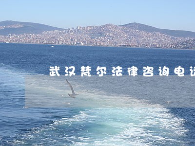 武汉梵尔法律咨询电话 武汉梵尔法律咨询电话
