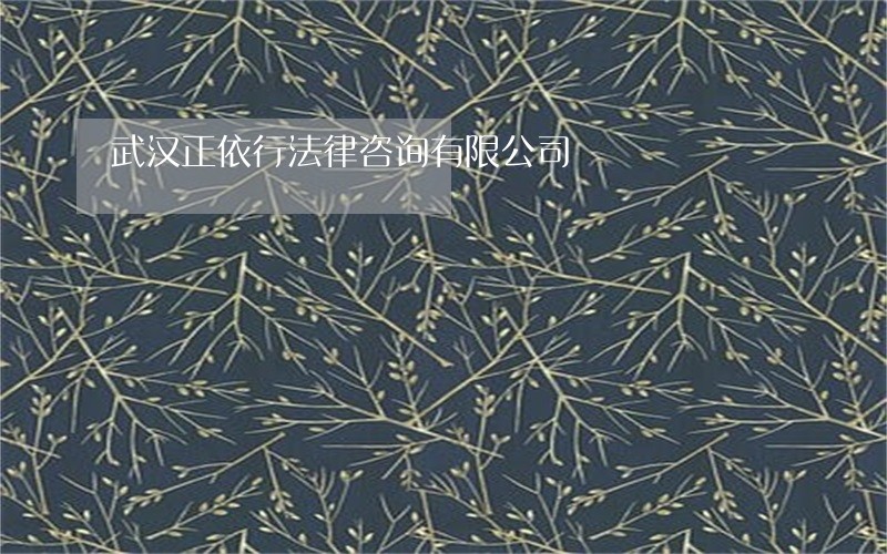 武汉正依行法律咨询有限公司