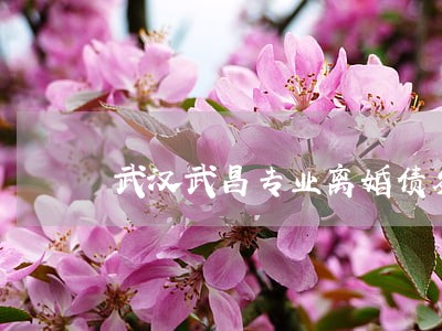武汉武昌专业离婚债务纠纷律师 武汉武昌专业离婚债务纠纷律师