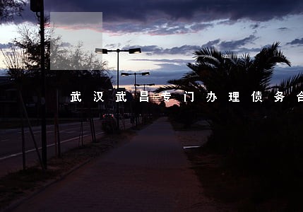 武汉武昌专门办理债务合同律师 武汉武昌专门办理债务合同律师