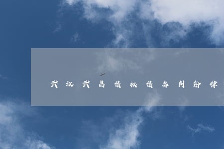 武汉武昌债权债务纠纷律师服务 武汉武昌债权债务纠纷律师服务