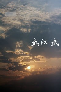 武汉武昌公司债务纠纷律师有哪些 武汉武昌公司债务纠纷律师有哪些