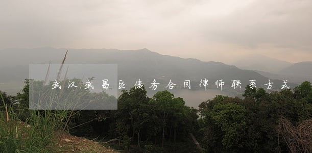 武汉武昌区债务合同律师联系方式 武汉武昌区债务合同律师联系方式