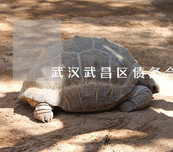 武汉武昌区债务合同律师费用标准 武汉武昌区债务合同律师费用标准