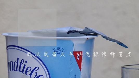 武汉武昌火车站商标律师著名 武汉武昌火车站商标律师著名