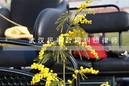 武汉民事合同纠纷律师 武汉民事合同纠纷律师