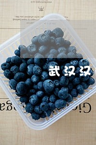 武汉汉阳其他律师服务